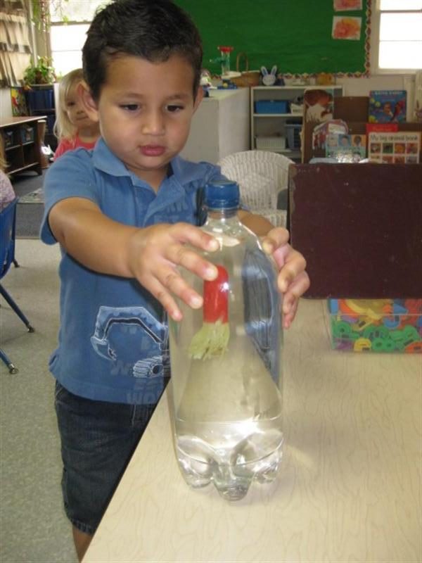 preschool-science-projects-good-science-project-ideas