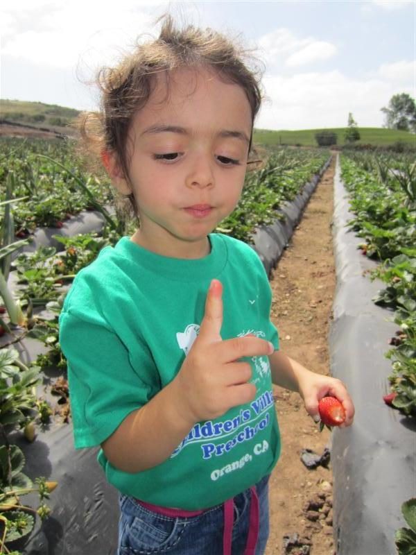 Tanaka Farms Field Trip Preschool,Child Care Center,Day Care,Toddler